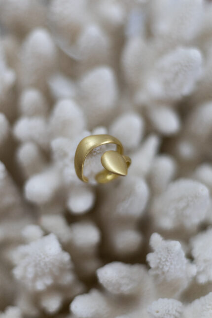 Anel Essence III